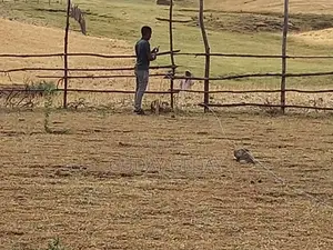 140 Kare Land Plot Gelan Near Unisa University