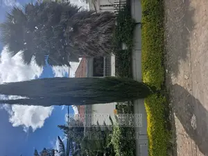 Furnished 9bdrm House in አያት ዞን 5, Bole for sale