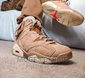Photo - Travis Scott Jordan 6