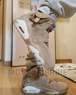 Travis Scott Jordan 6
