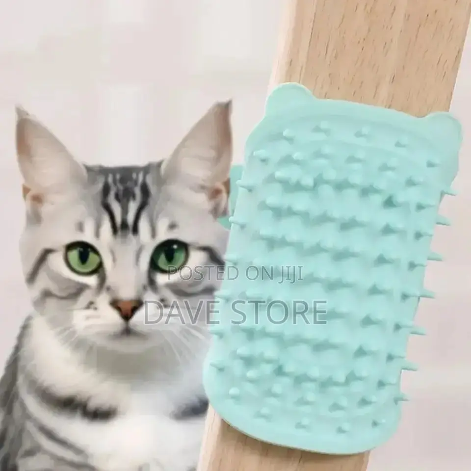 Silicon Shampoo Head Brush