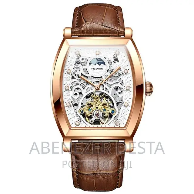 Tevise Automatic Men's Watch Elegant Sophisticated