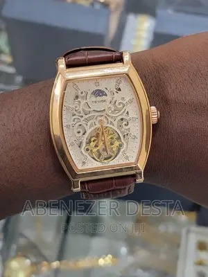 Tevise Automatic Men's Watch Elegant Sophisticated
