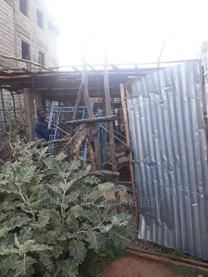 Photo - Yemeshet Mesert Kolen Yewtalet