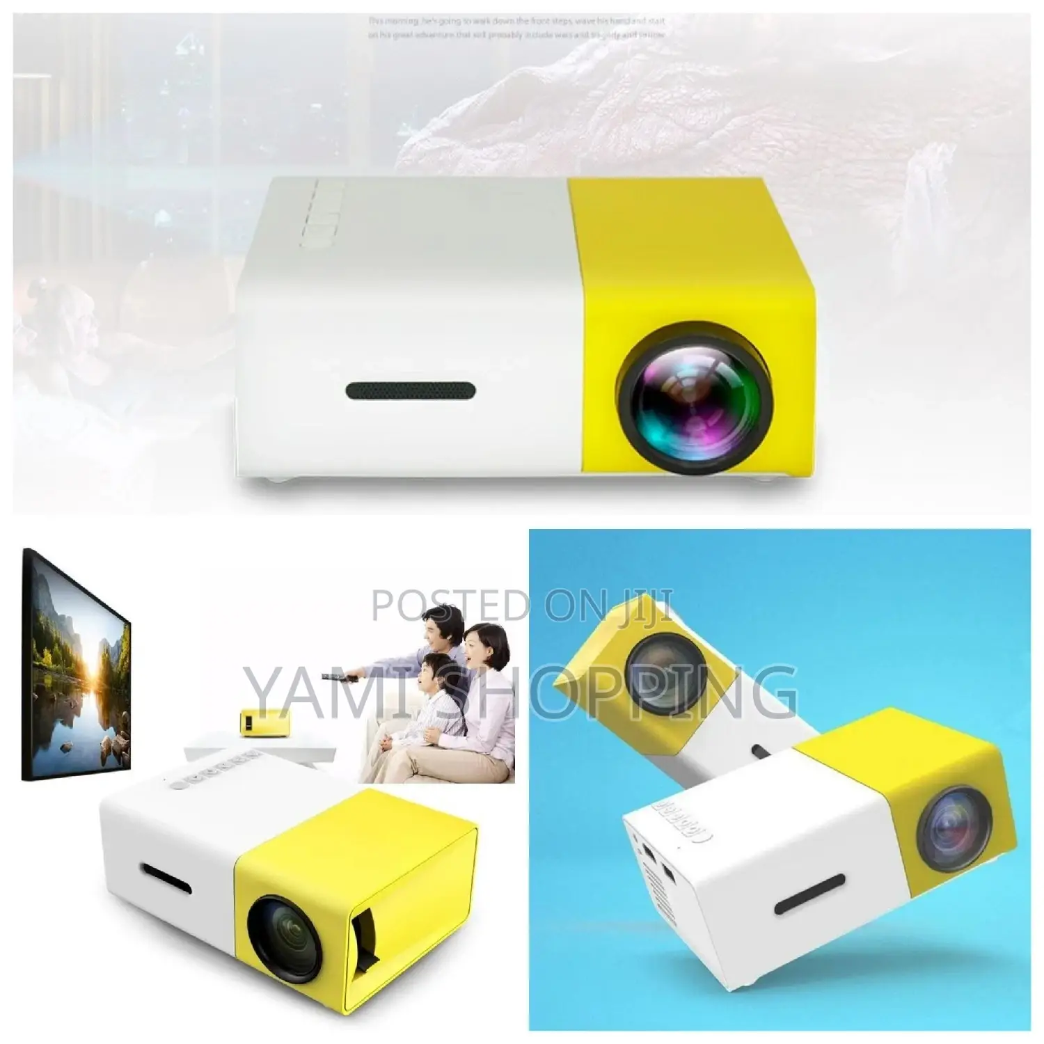 Borrego Led Projector