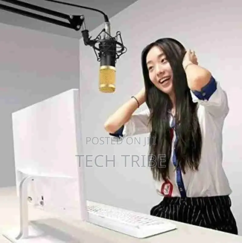 Professional Condenser Microphone With Free Delivery