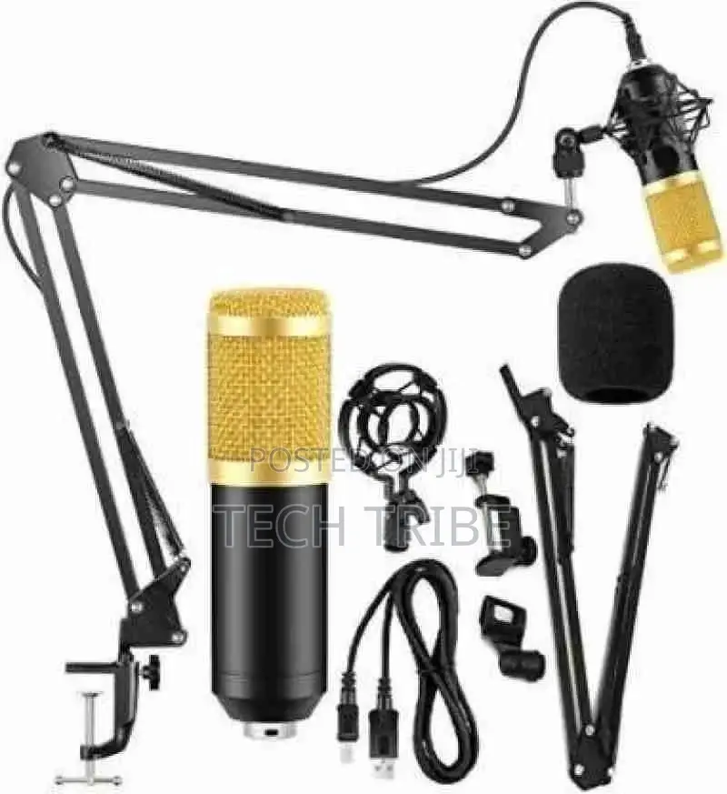 Professional Condenser Microphone With Free Delivery