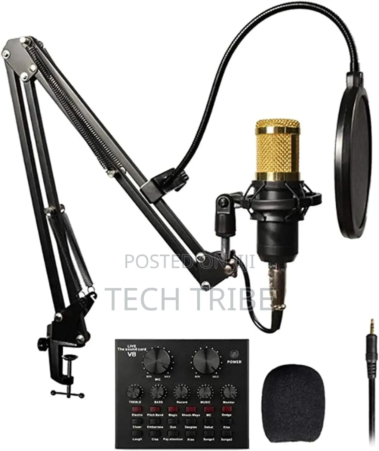 Professional Condenser Microphone With Free Delivery