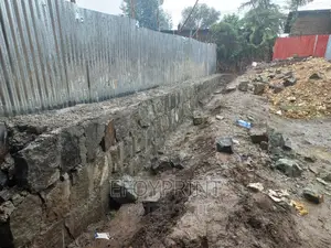 Photo - የሚከራይ መሬት 300 ካሬ