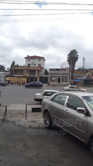 Commercial Building Area Bole Michael