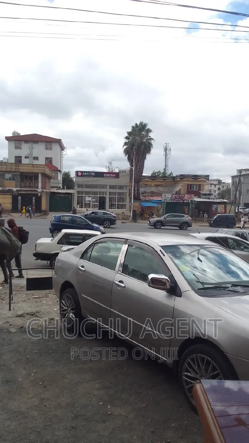 Commercial Building Area Bole Michael