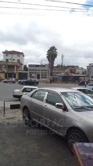 Commercial Building Area Bole Michael