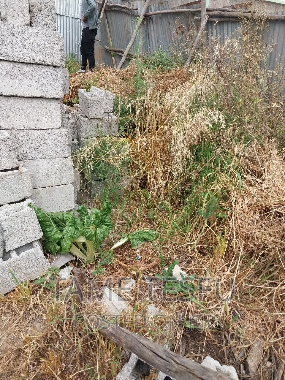 Furnished 2bdrm House in Yeka Kidanemihiret for sale