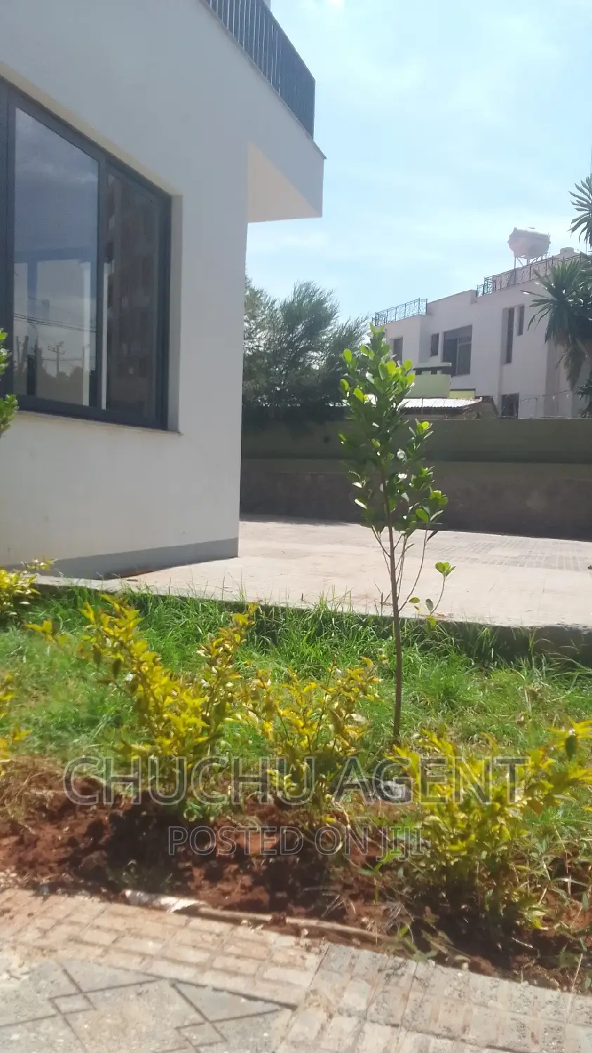 Embassy Residential Rental Luxury Building