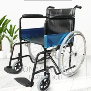 Photo - Wheelchair |Footrests | Split Back | Palace | Mobiclinic