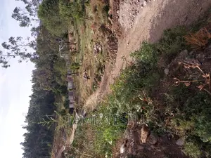 Photo - 1bdrm Apartment in Yeka for sale