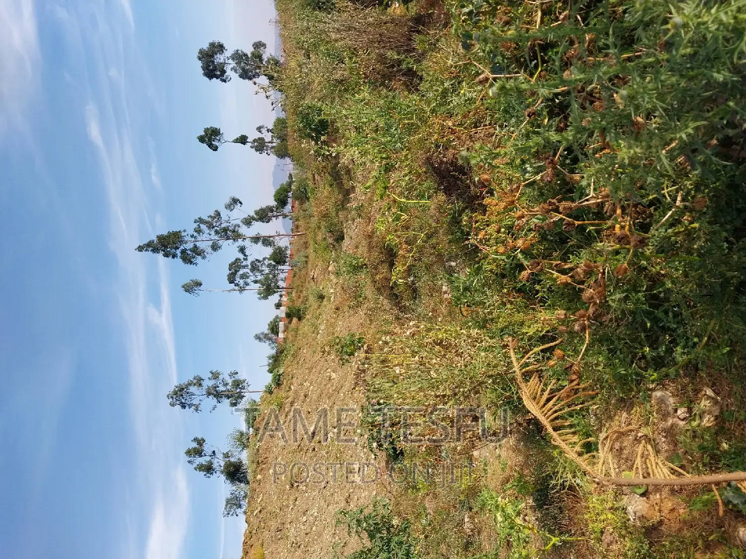 1bdrm Apartment in Yeka for sale