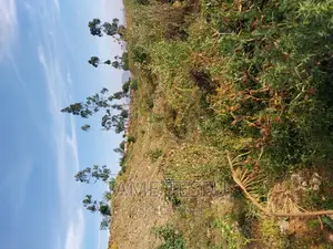 1bdrm Apartment in Yeka for sale