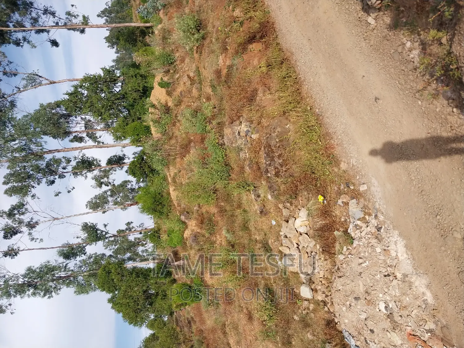 1bdrm Apartment in Yeka for sale