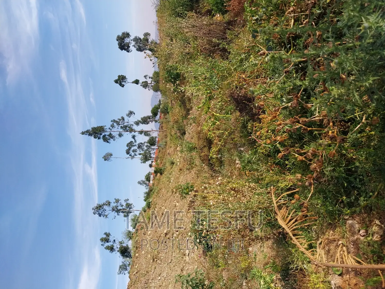 1bdrm Apartment in Yeka for sale