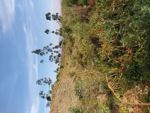 1bdrm Apartment in Yeka for sale