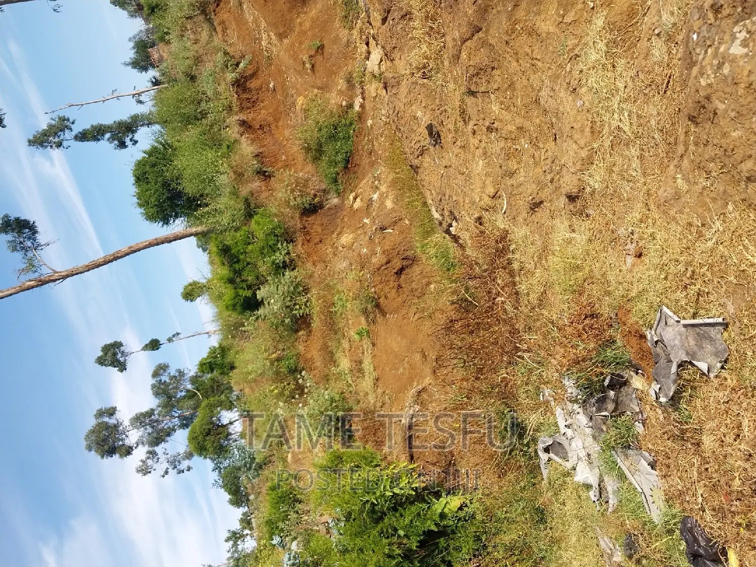 1bdrm Apartment in Yeka for sale