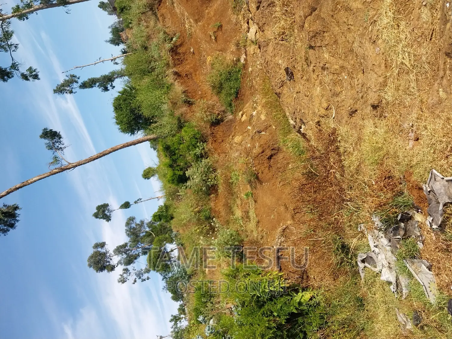 1bdrm Apartment in Yeka for sale