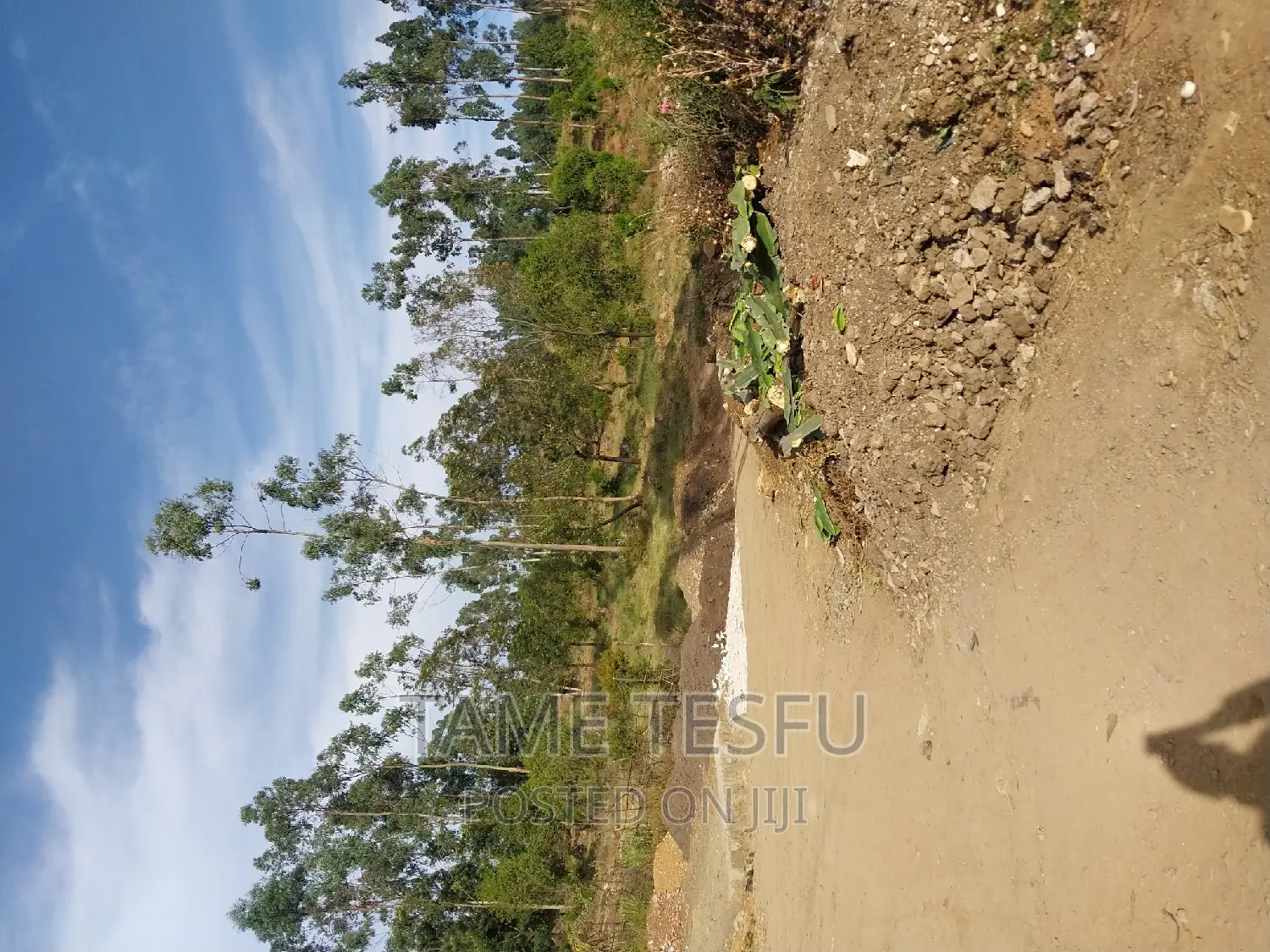 1bdrm Apartment in Yeka for sale