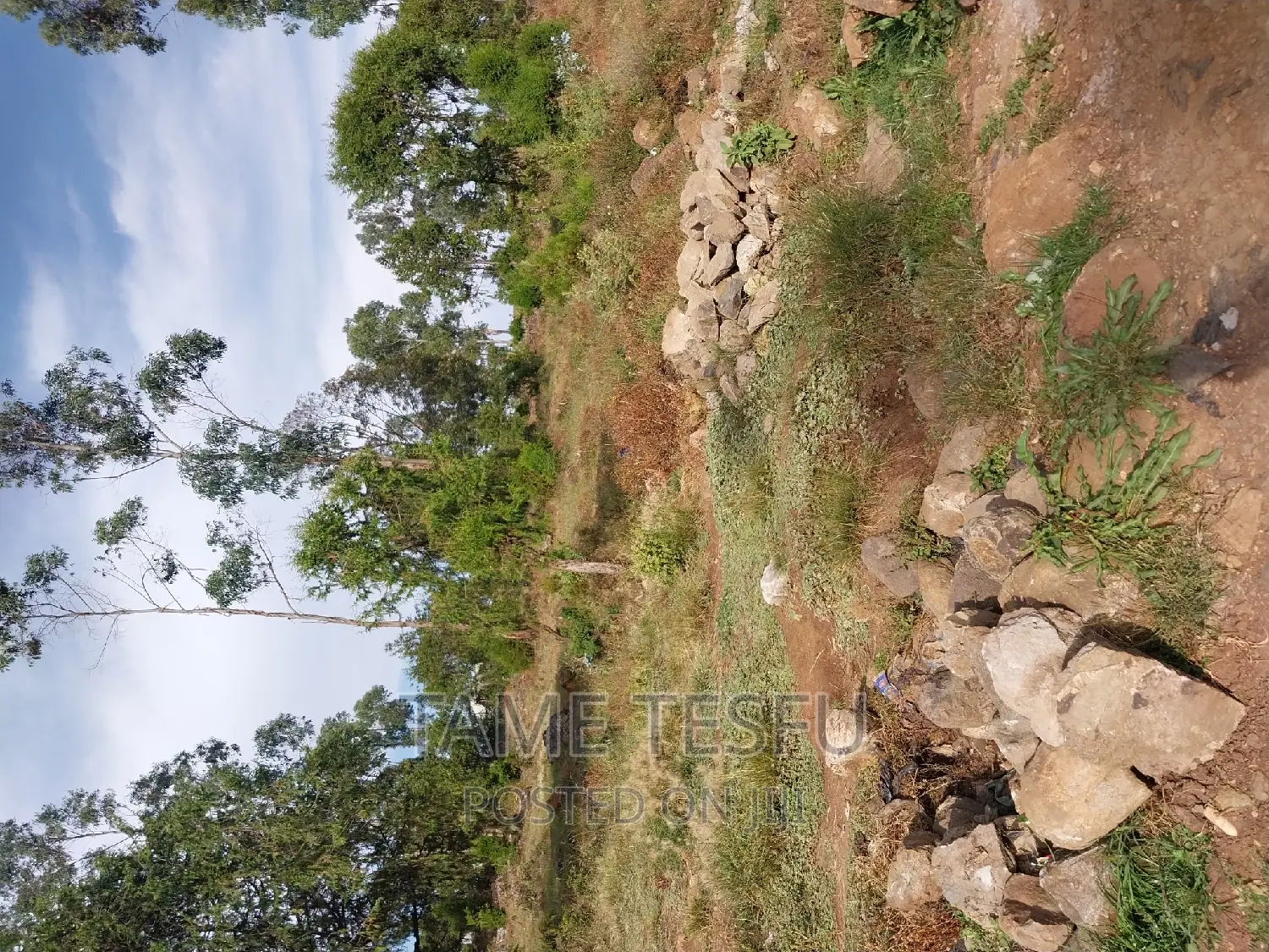 1bdrm Apartment in Yeka for sale