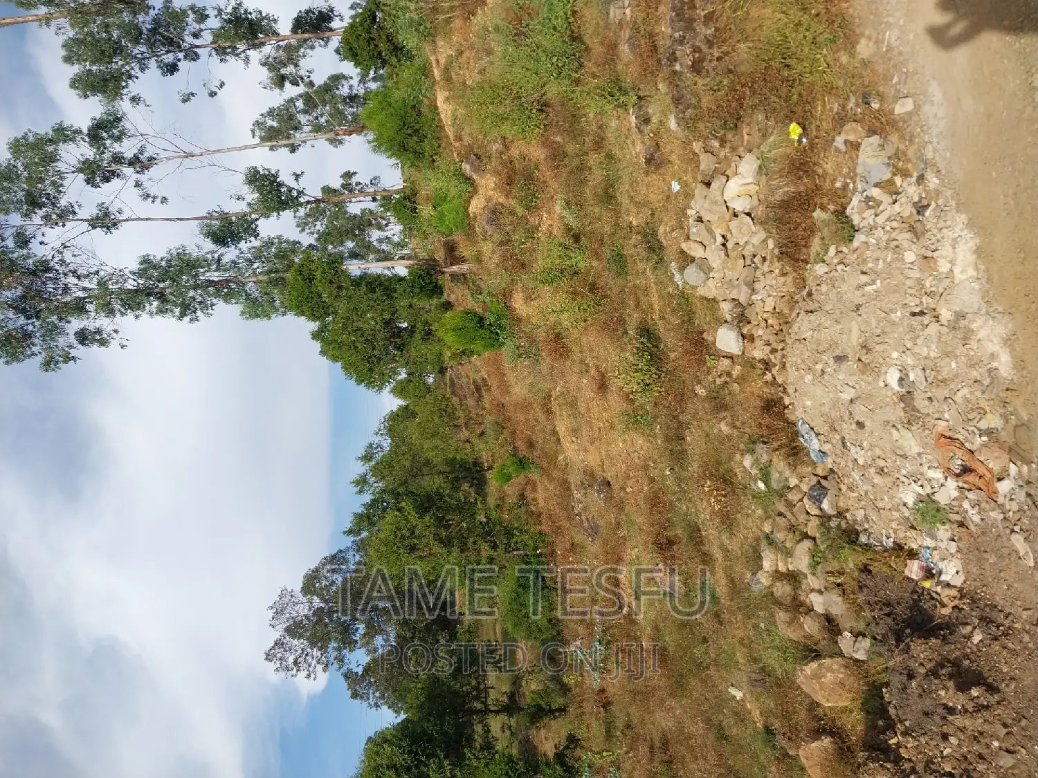 1bdrm Apartment in Yeka for sale