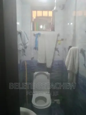 Furnished 1bdrm Condo in ቦሌ አራብሳ 10/90, Bole for sale