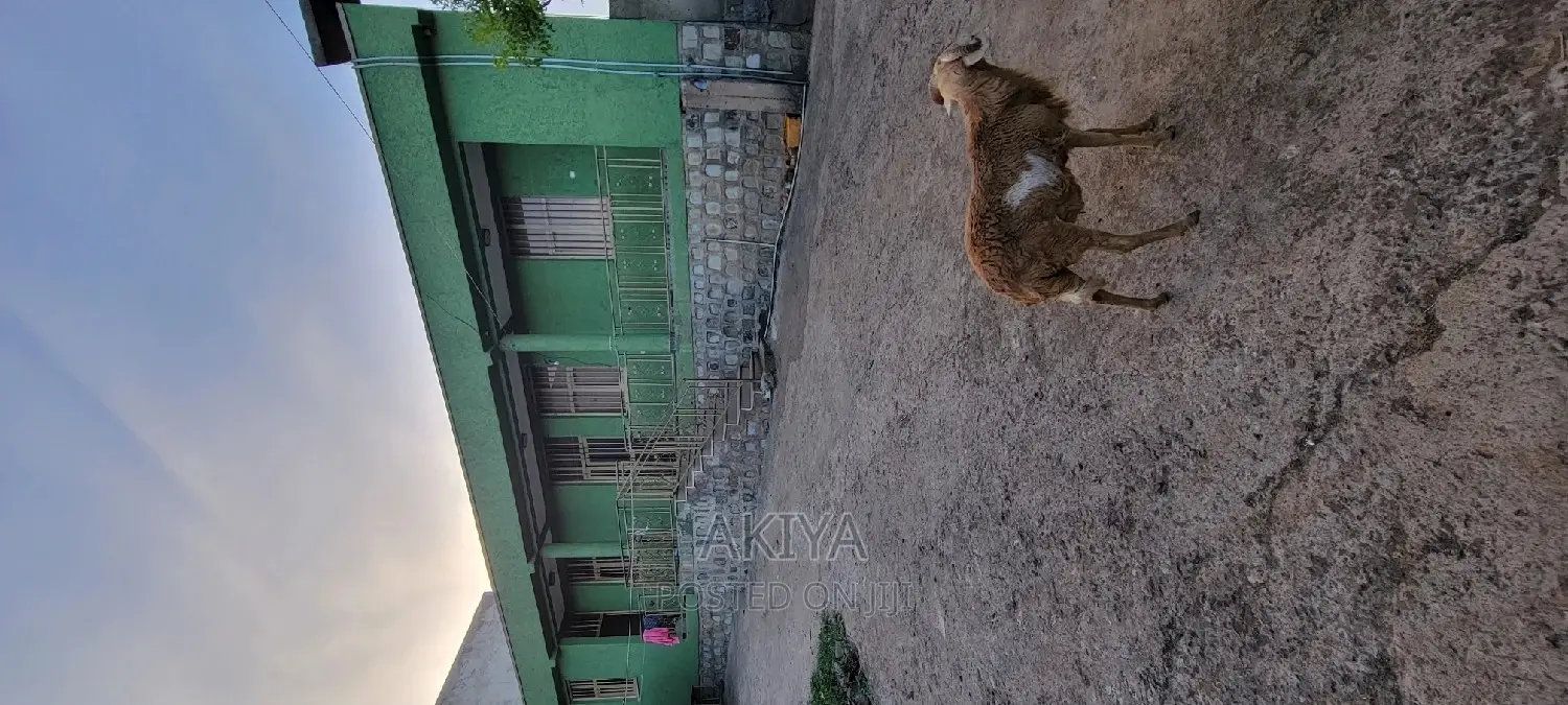 4bdrm House in House, Oromia-Finfinne for sale