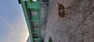 4bdrm House in House, Oromia-Finfinne for sale