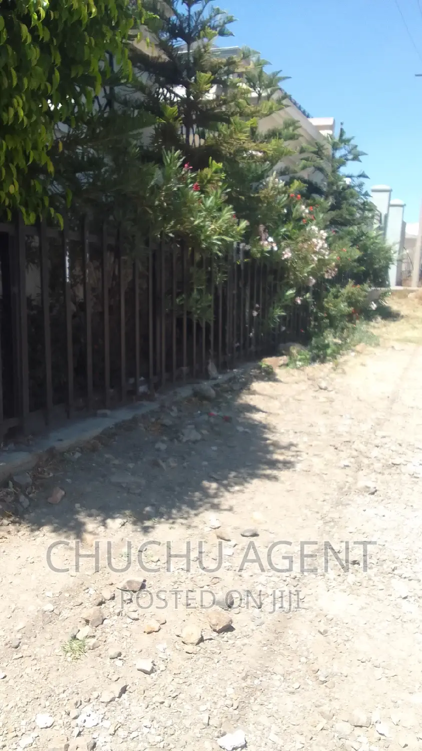 500 M2 Construction Land Sale