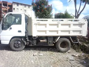 እንዳይገቡ የተከለከሉ Isuzu ገልባጭ