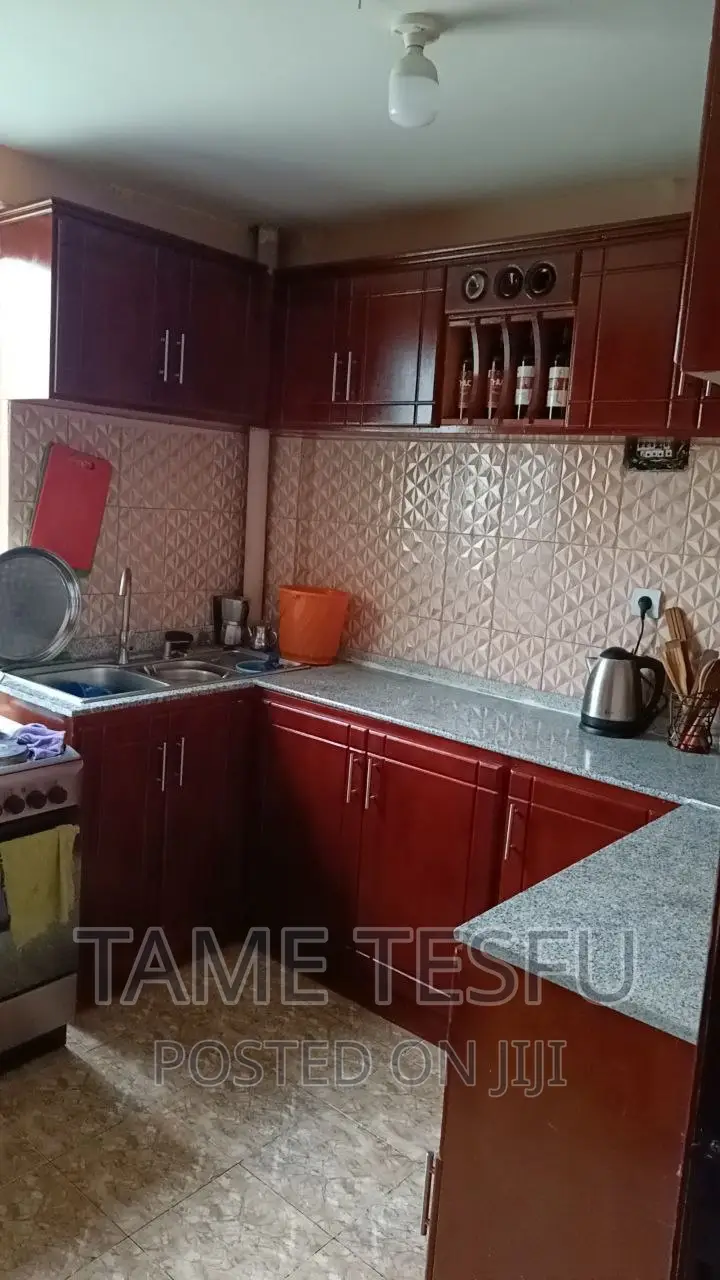 Furnished 3bdrm Condo in Yeka Abdo for sale
