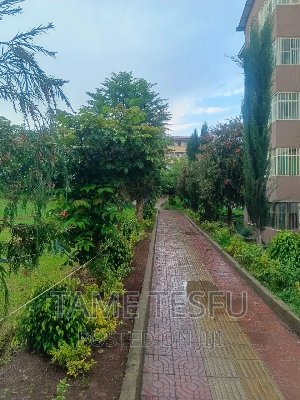 Furnished 3bdrm Condo in Yeka Abdo for sale