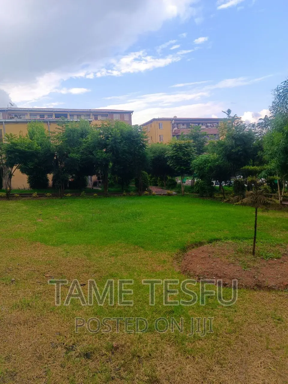 Furnished 3bdrm Condo in Yeka Abdo for sale