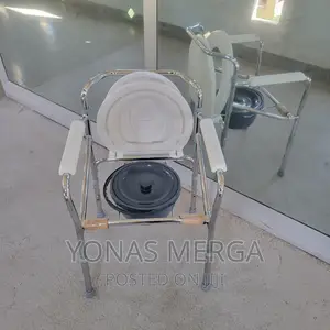 Trezor Care White/Grey Imported White Commode Chair With Wh