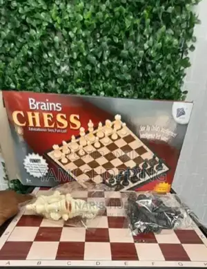 ቼስ ለልጆች ተስማሚ ነው!