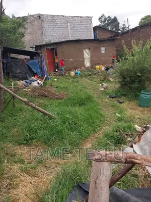 Furnished 1bdrm House in Yeka Getera for sale