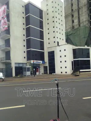 Furnished 16bdrm House in Bole Jakiros for sale