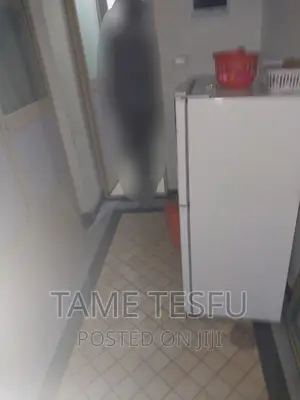 Photo - Furnished 2bdrm House in Yeka Kotobe for sale