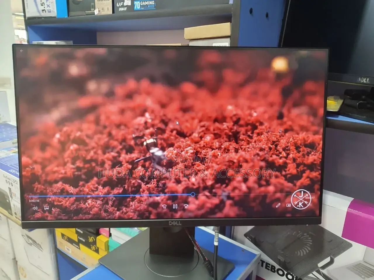 Dell 24 Inch Frame Less Monitor