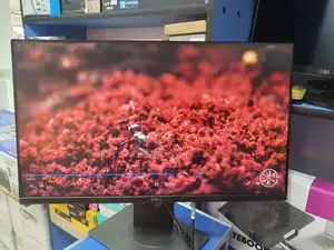 Photo - Dell 24 Inch Frame Less Monitor