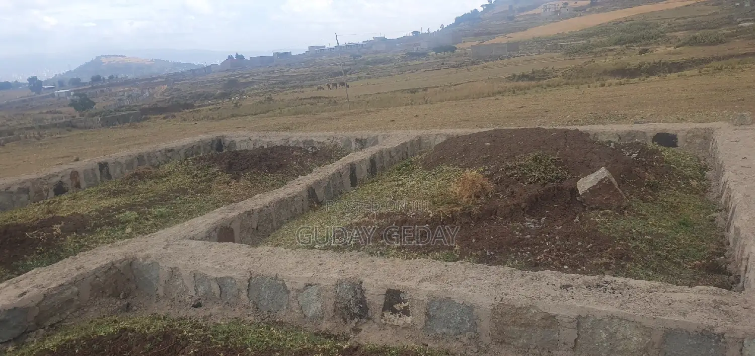 Ye Mehaber Bota 140 Kare