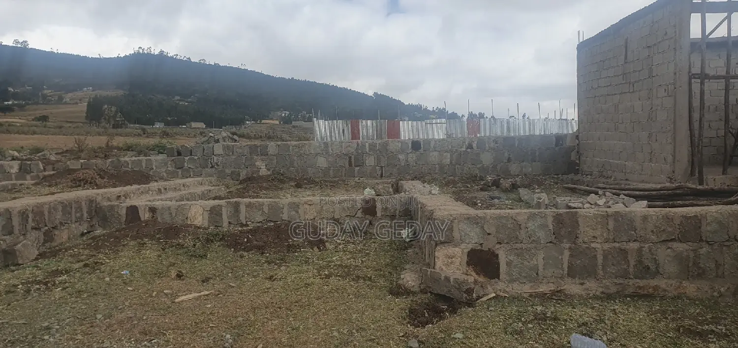 Ye Mehaber Bota 140 Kare