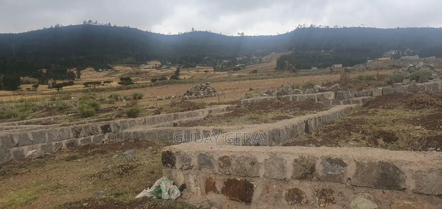 Ye Mehaber Bota 140 Kare