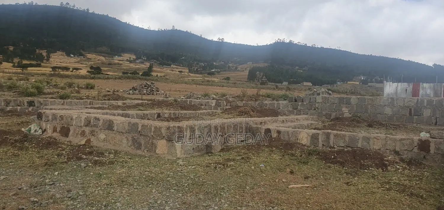 Ye Mehaber Bota 140 Kare