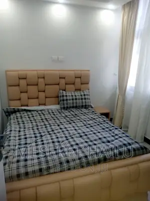 Furnished 3bdrm Apartment in Bole for rent